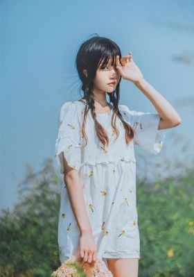 鹊刀门在线观看免费完整版电视剧